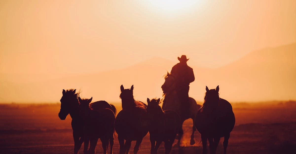 Драматические приключения в мире Wild West Gold Megaways